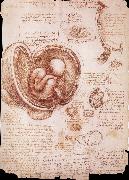 LEONARDO da Vinci The embryo in the Uterus china oil painting reproduction